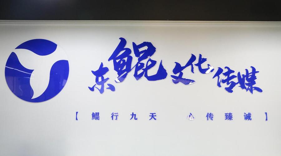 包括:一般项目:广告制作;广告发布(非广播电台,电视台,报刊出版单位)